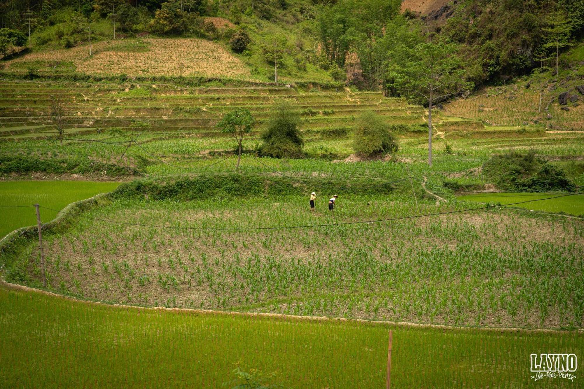 Quiri Hostel Ha Giang Lang Lap Exteriér fotografie